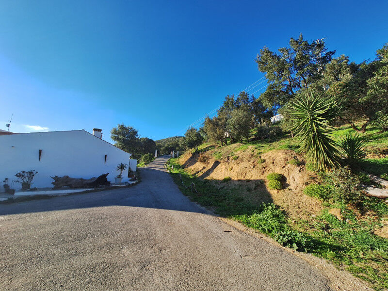 Algarvian Rural Retreat