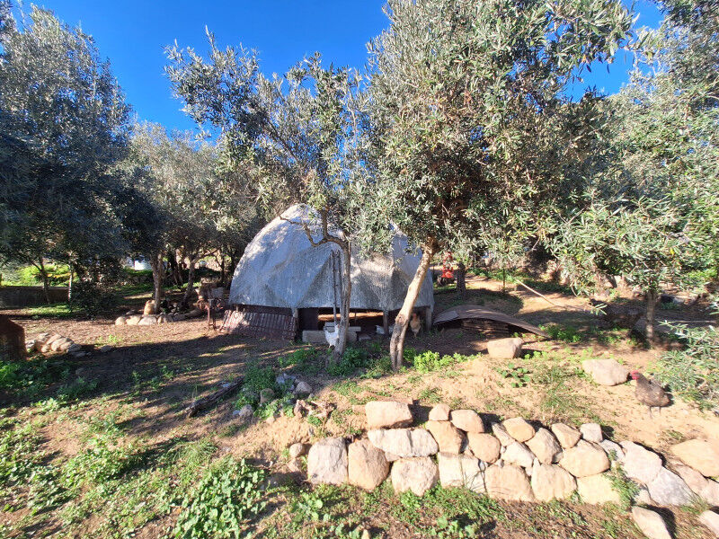 Algarvian Rural Retreat