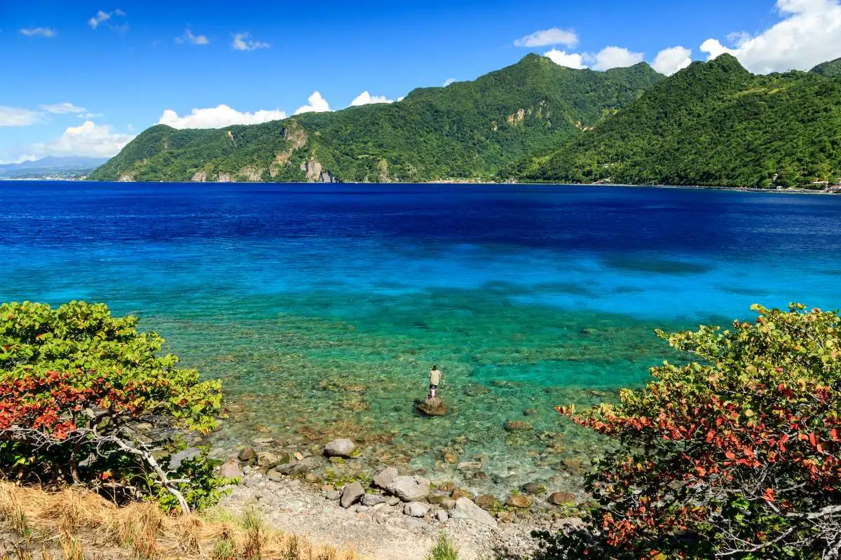 caribbean dominica