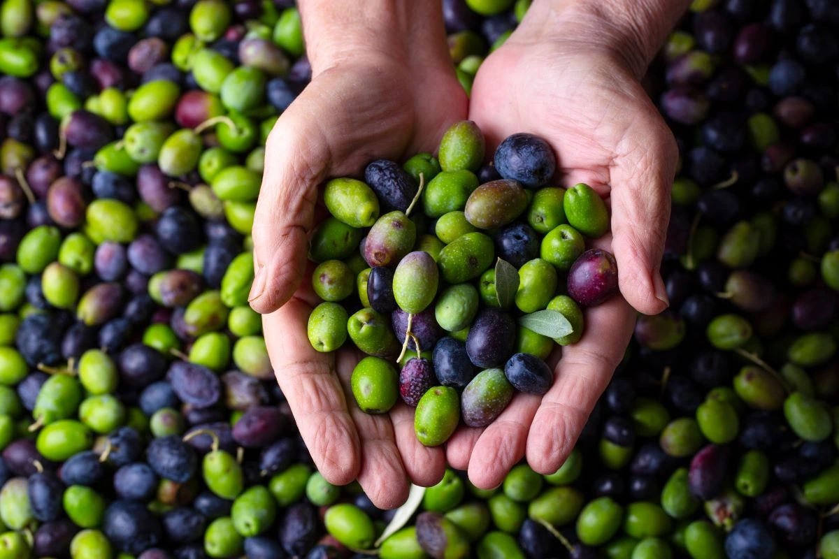 olives